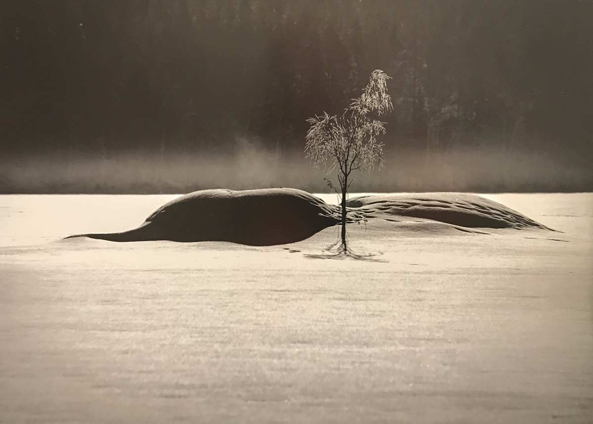 Taidegalleria Kangasniemi Lounas ja Leipä Pentti Salorannan valokuvanäyttely - 1.8. - 30.9.2022
