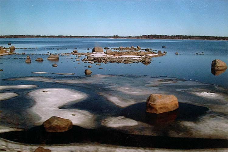 Taidegalleria Kangasniemi Lounas ja Leipä