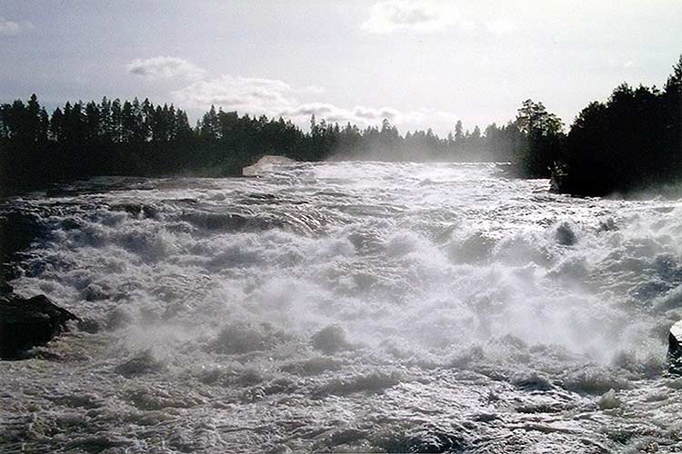 Taidegalleria Kangasniemi Lounas ja Leipä
