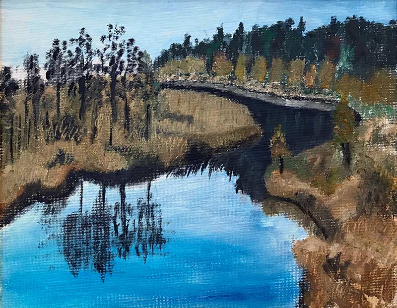 Taidegalleria Kangasniemi Lounas ja Leipä - Seija Väisäsen öljyväritöiden näyttely 1. - 31.08.2017