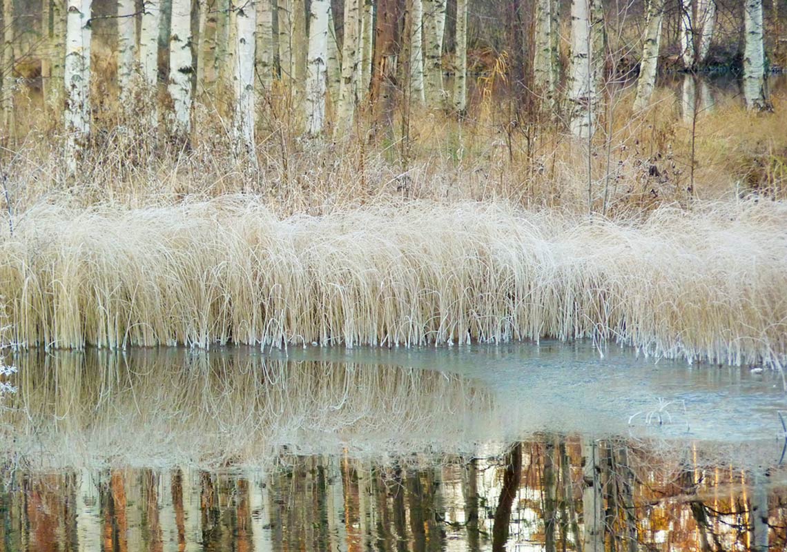 Taidegalleria Kangasniemi Lounas ja Leipä