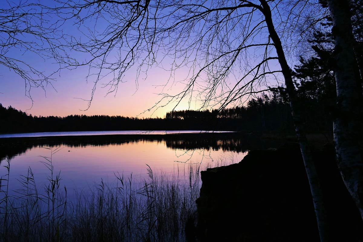 Taidegalleria Kangasniemi Lounas ja Leipä